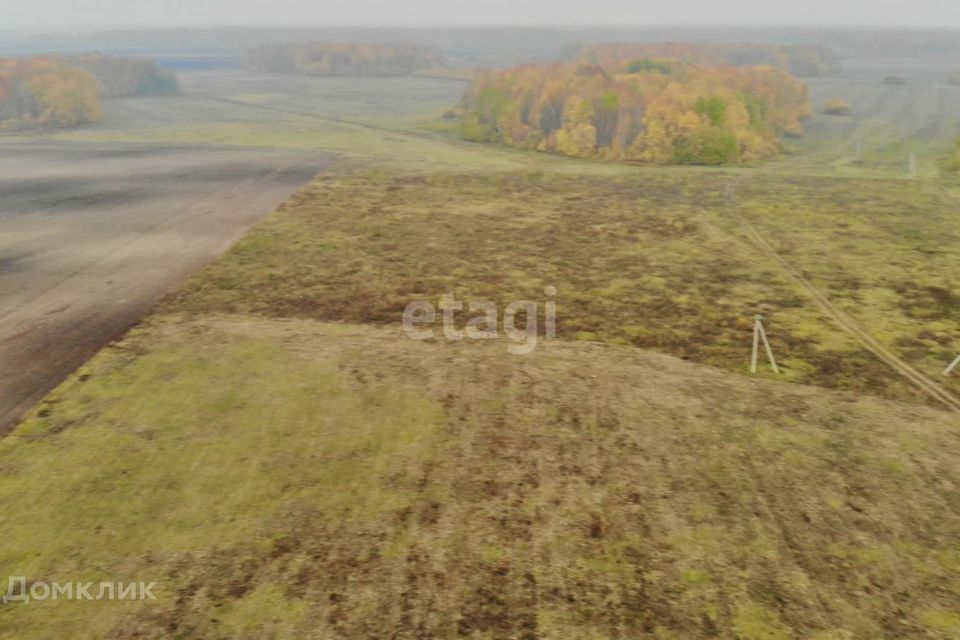 земля р-н Тюменский село Горьковка фото 5