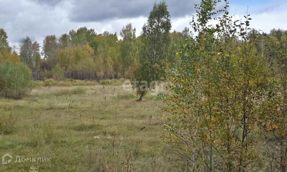 земля р-н Тюменский посёлок городского типа Богандинский фото 9