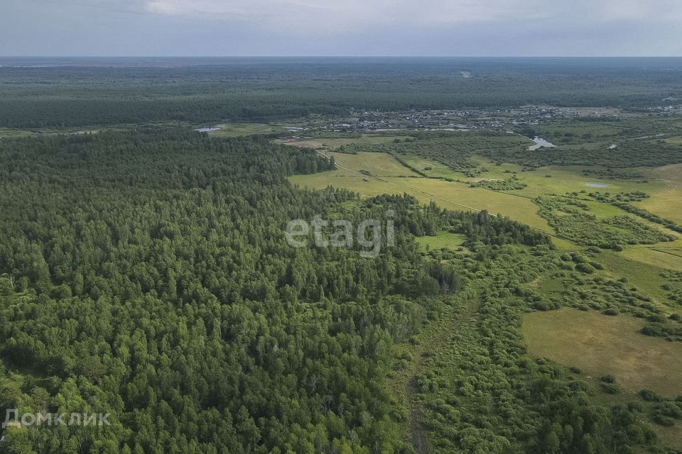 земля р-н Тюменский посёлок городского типа Богандинский фото 7