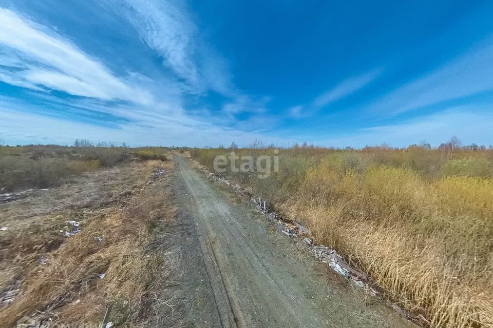 земля г Тюмень снт Матрешка городской округ Тюмень, Елисеевская улица фото 9