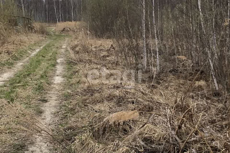 земля р-н Нижнетавдинский снт Моторостроитель ул Виноградная фото 7