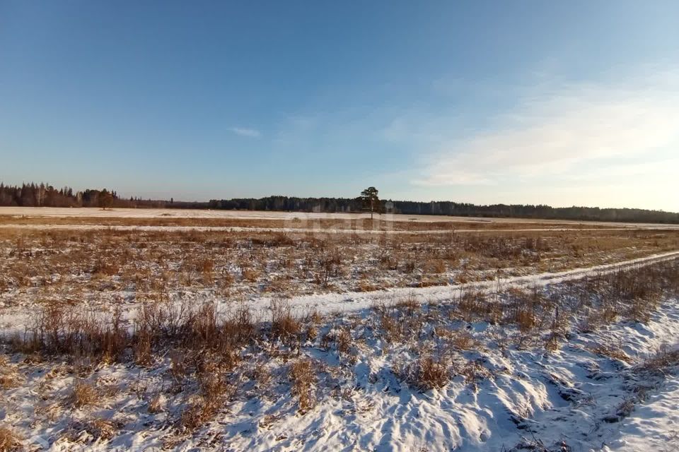 земля р-н Нижнетавдинский д Казанка ул Тукая фото 10