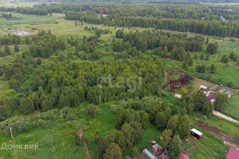 земля р-н Нижнетавдинский садоводческое товарищество У Сосны фото 8