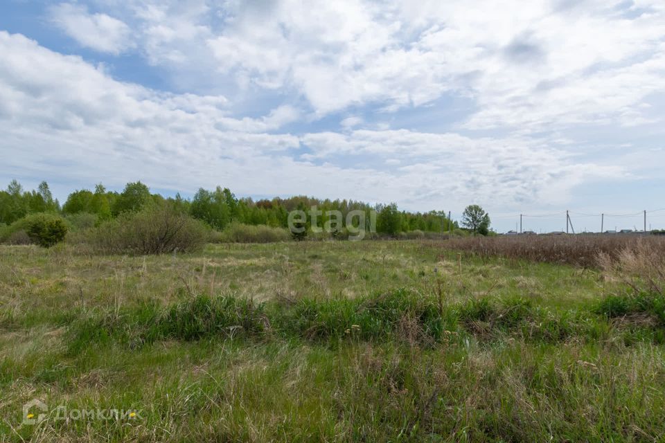 земля р-н Тюменский село Борки фото 5