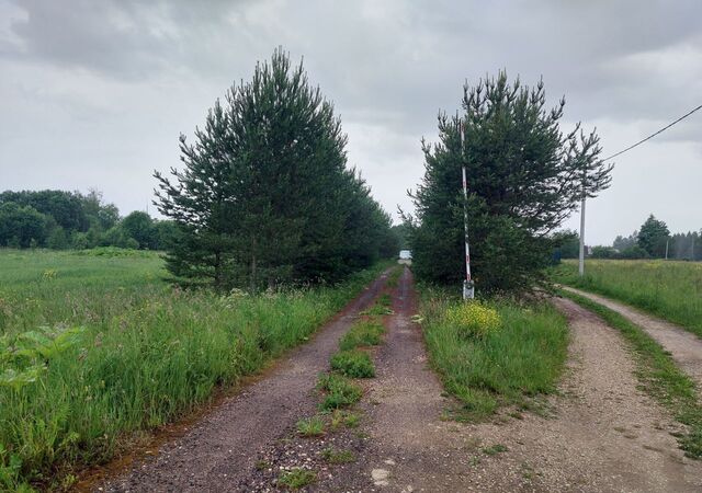 Большеврудское сельское поселение, Волосово фото