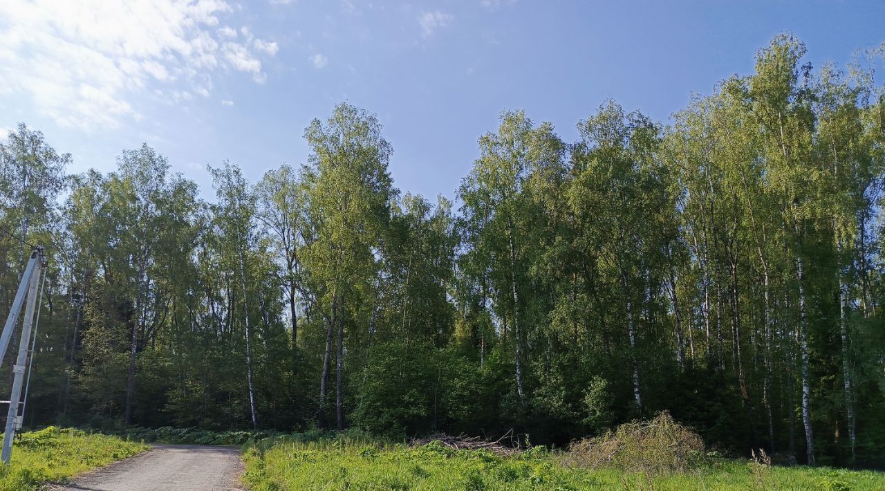 земля направление Савеловское (север) ш Рогачевское Дмитровский городской округ, Солнечногорск фото 1