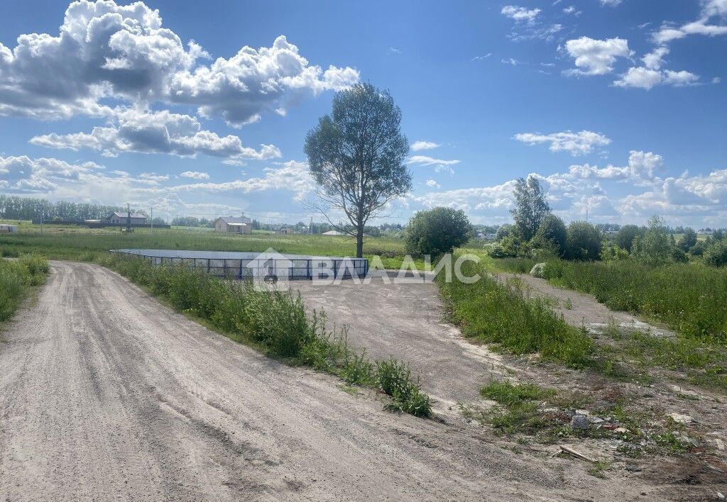 земля городской округ Дмитровский д Кончинино 10В, Дмитров фото 4