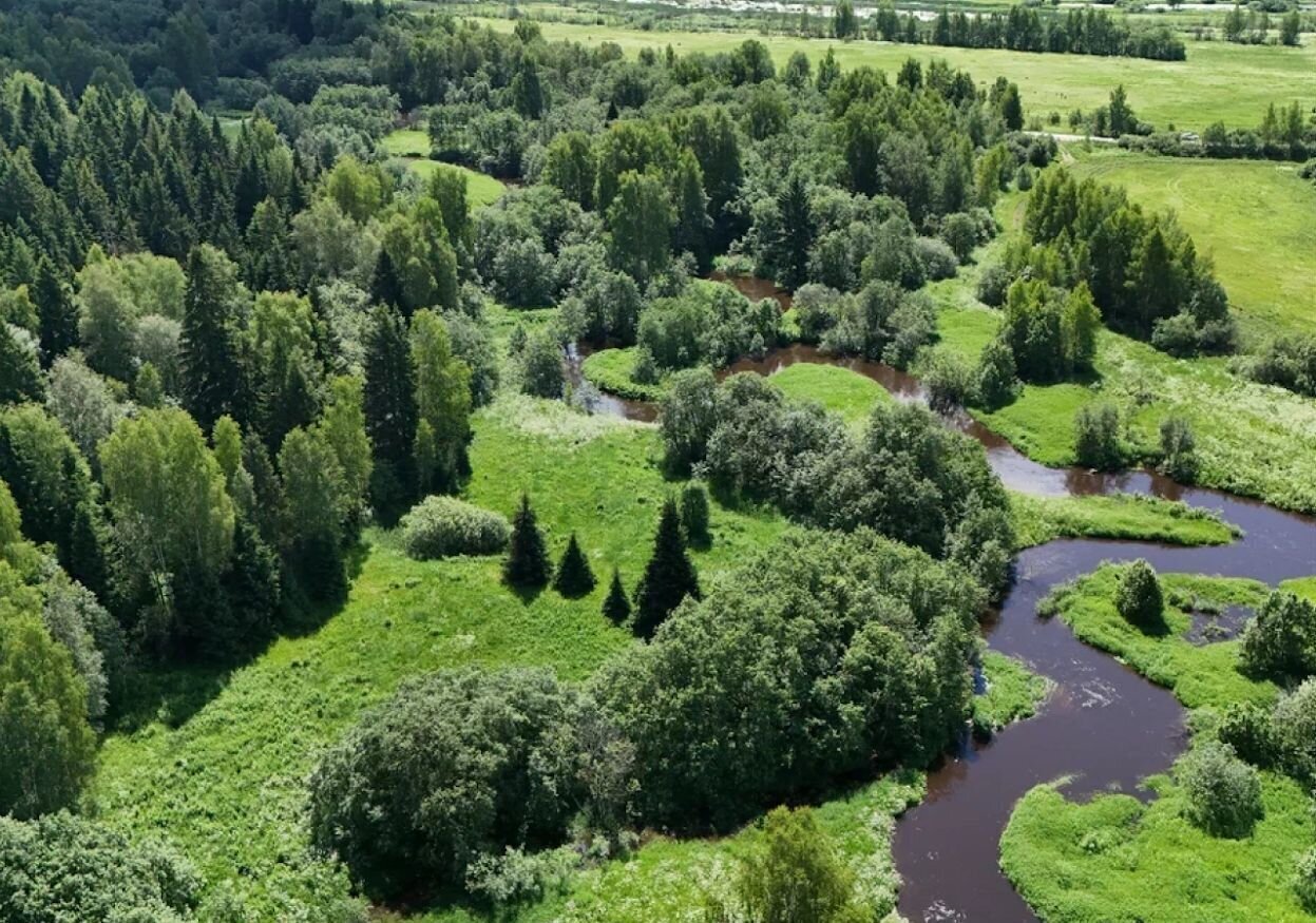 земля городской округ Дмитровский СНТ Озеро Нерское, 38А, Лобня фото 10