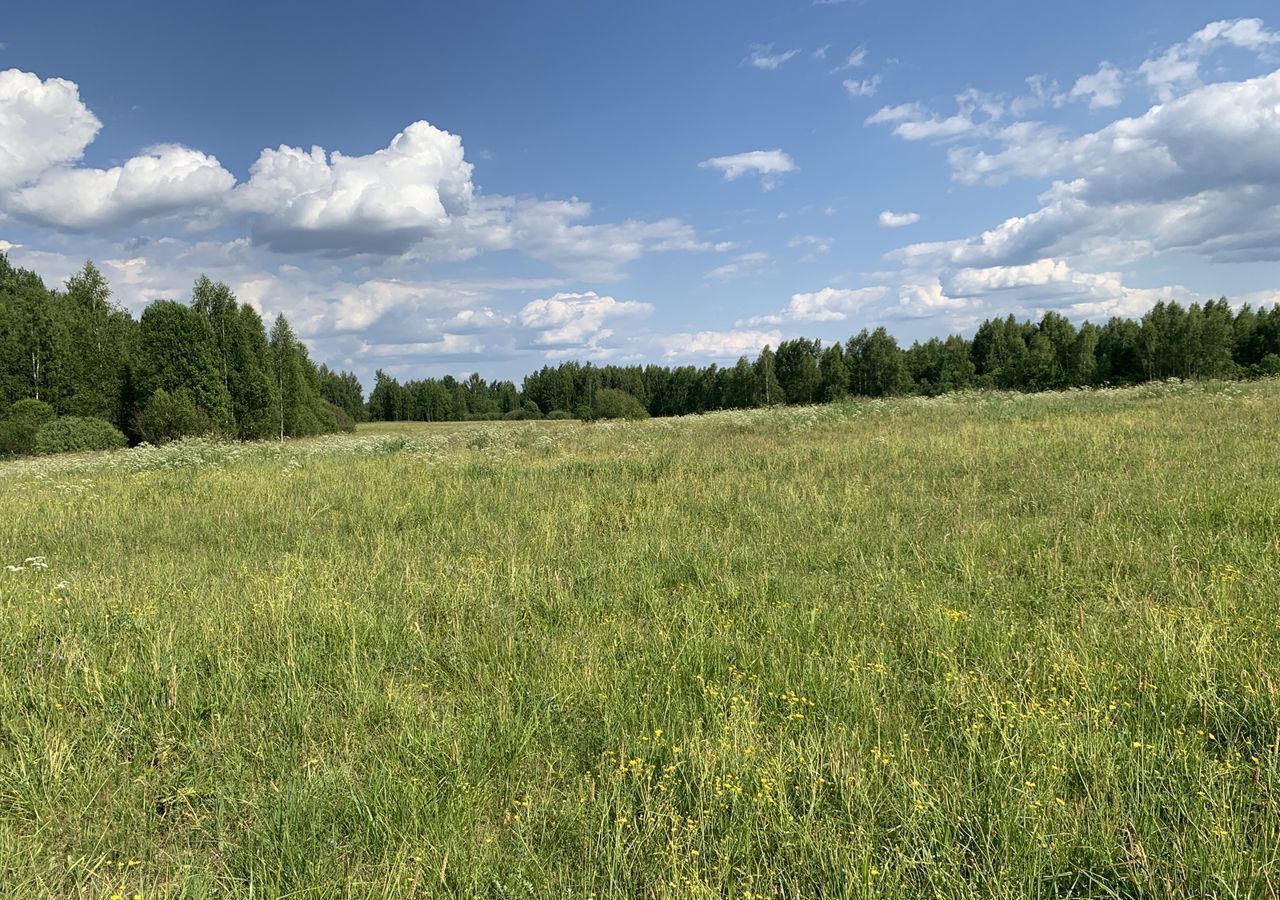 земля р-н Новгородский рп Пролетарий Савинское сельское поселение фото 1