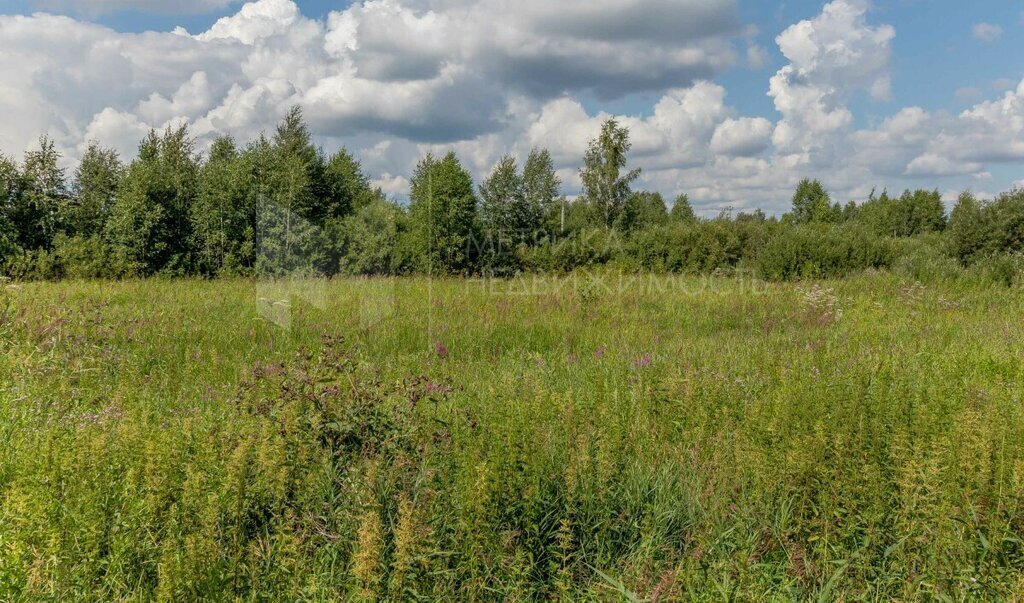 земля г Тюмень снт Поле чудес Черёмуховый переулок, 320 фото 19