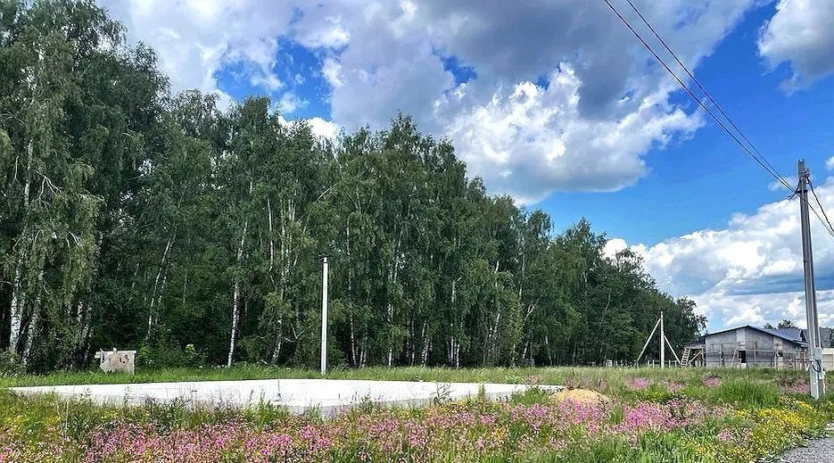 земля городской округ Дмитровский д Надеждино фото 2