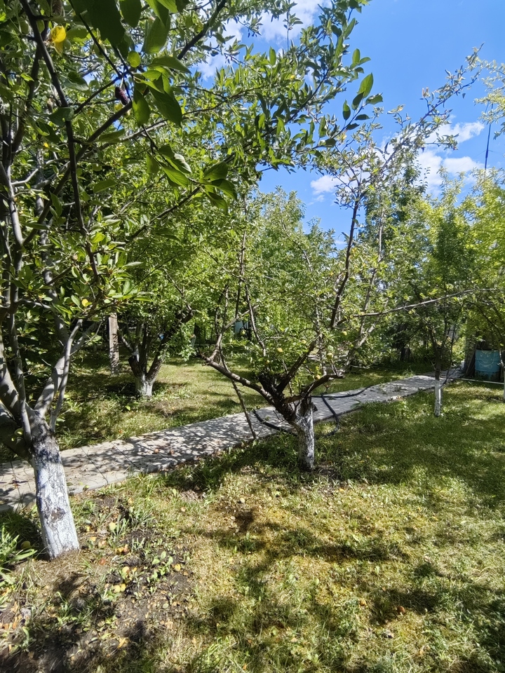 дом р-н Городищенский с Виновка Придорожная фото 4