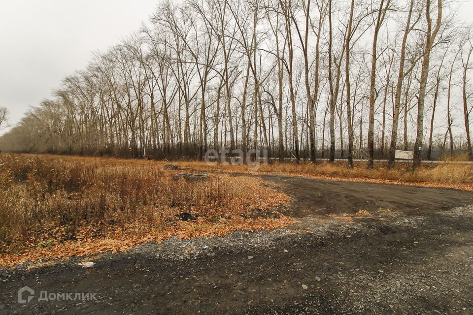 земля г Тюмень городской округ Тюмень, жилой квартал Зелёные Аллеи фото 3