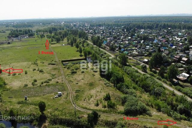 городской округ Тюмень, СО Зелёный бор фото