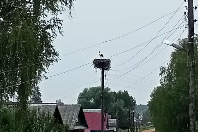 пгт Селижарово ул Терешковой фото