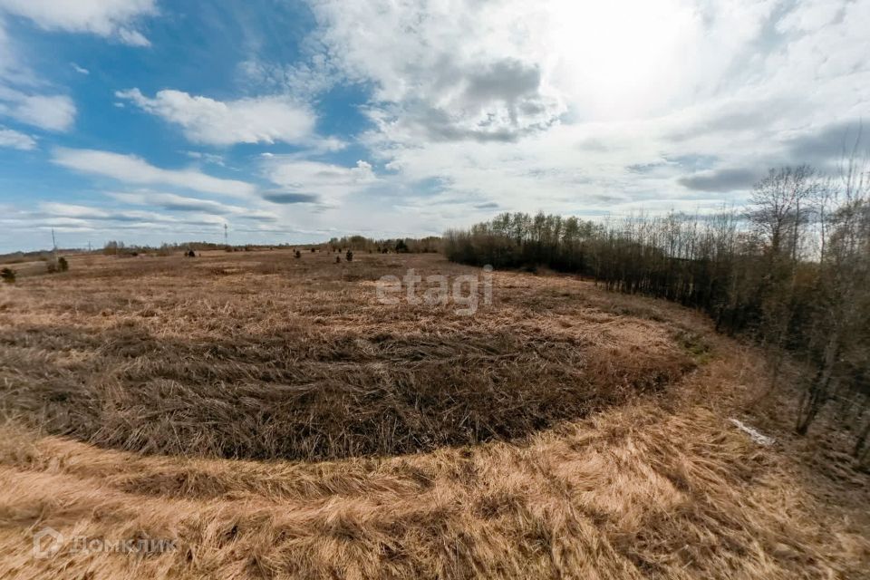 земля р-н Тюменский село Борки фото 10