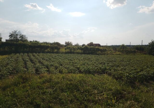 д Овсянниково снт Русское поле Пашковский сельсовет, Курск фото