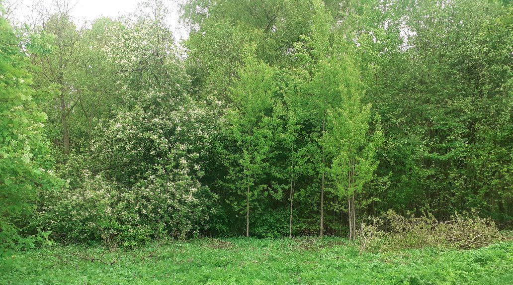 дом р-н Переславский снт Солнечный Переславль-Залесский городской округ фото 8