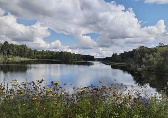 земля ул Лесная Калужская область, Спас-Деменск фото