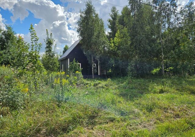 5 км, Видное, Новокаширское шоссе фото