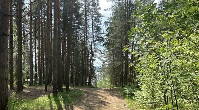 земля пер Озерный Рощинское городское поселение фото