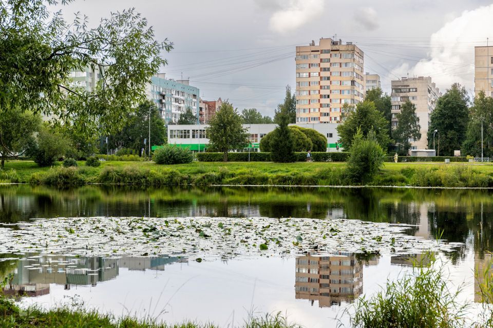 квартира г Санкт-Петербург р-н Прометей пр-кт Луначарского 86/1 Калининский фото 5