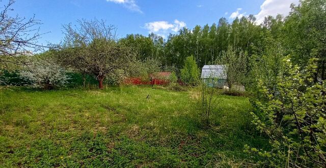 земля снт Кременки Буревестник фото