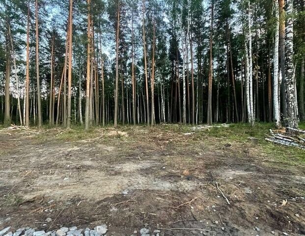 п Кедровое ул Уральская городской округ Верхняя Пышма фото