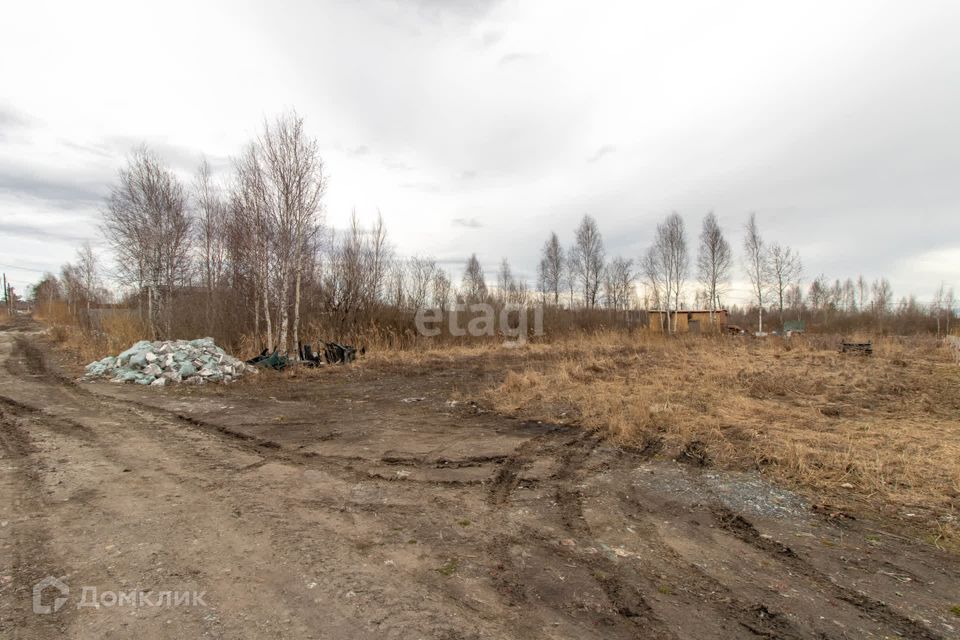 земля г Тюмень городской округ Тюмень, территория СОСН Берёзка-3 фото 8