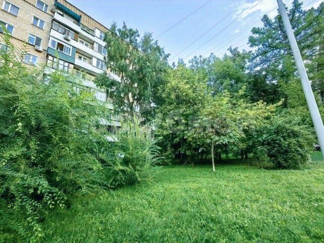 Московская область фото