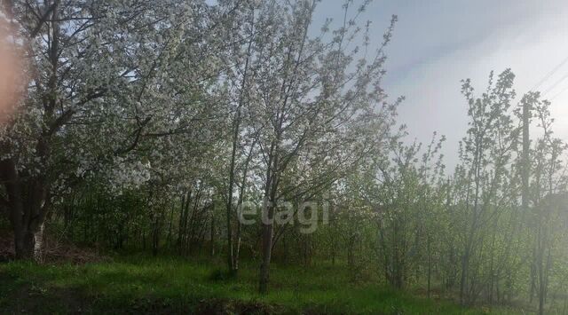 с пос, Лозовое-3 массив, ул. Цветочная, Симферопольский район фото