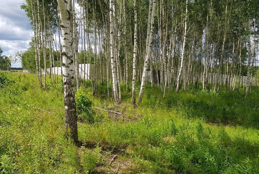 земля городской округ Дмитровский д Капорки Лобня фото 30