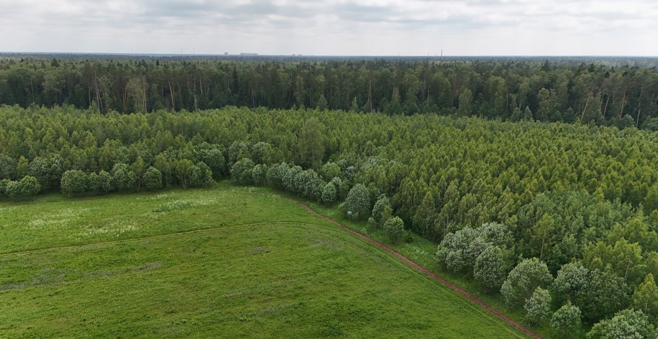 земля городской округ Богородский с Воскресенское 19, Лосино-Петровский фото 8