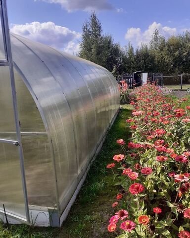 Добрунское сельское поселение, Путевка фото Добрунское сельское поселение, Путевка фото