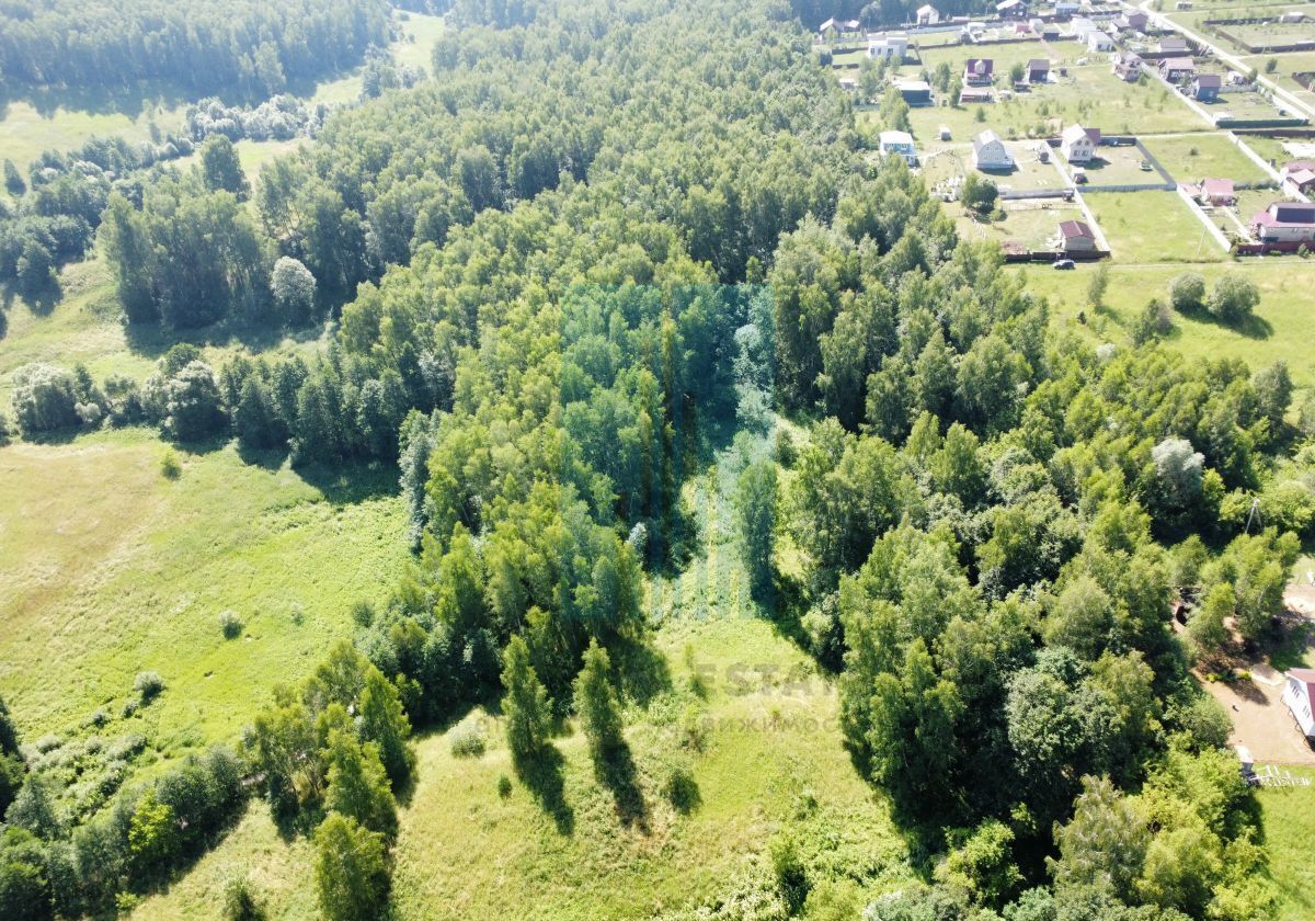 земля городской округ Кашира коттеджный пос. Малеевские просторы фото 3