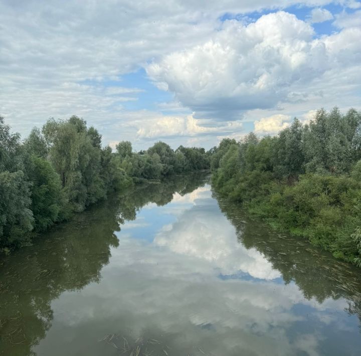 земля р-н Рыбно-Слободский с Анатыш ул Северная Анатышское с/пос фото 10