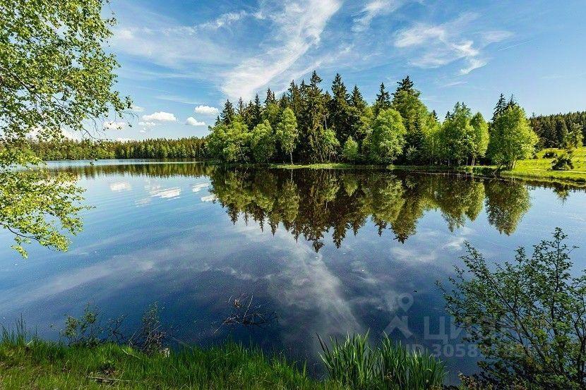 земля городской округ Ступино д Горки ул Лесная Михнево фото 9