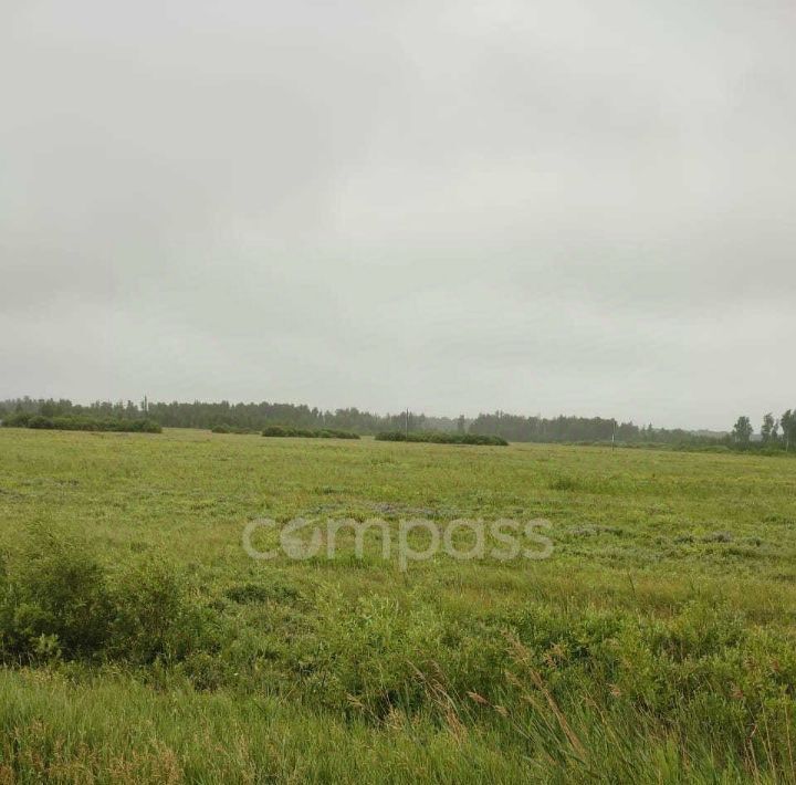 земля р-н Тюменский рп Богандинский фото 1