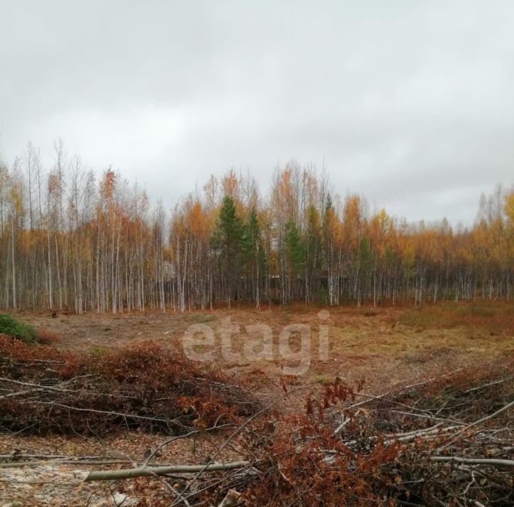 земля г Ханты-Мансийск снт Виктория СОНТ, 2 фото 4