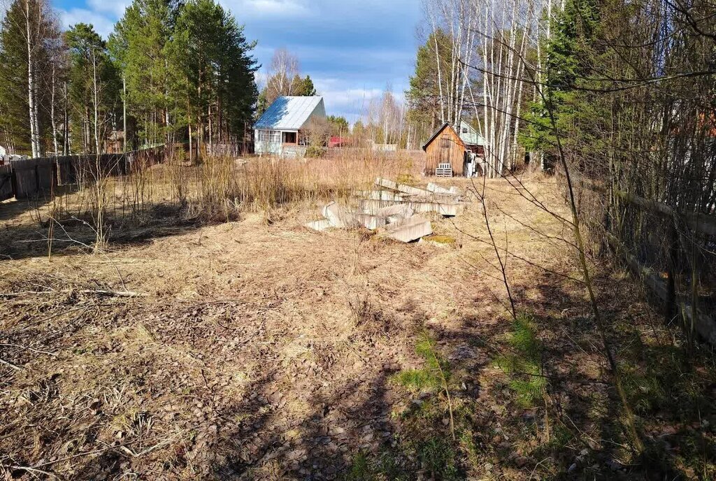 земля р-н Корткеросский д Визябож ул Березовая фото 6