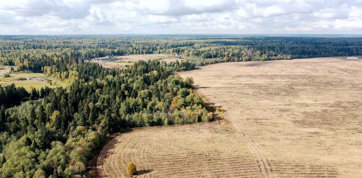 земля городской округ Истра д Малое Ушаково 7 фото 6