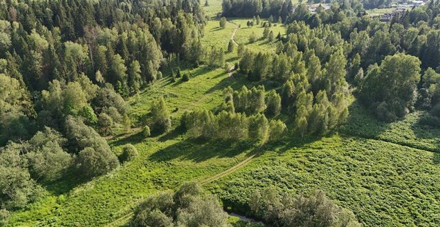 9754 км, 43Б, Менделеево, Рогачёвское шоссе фото