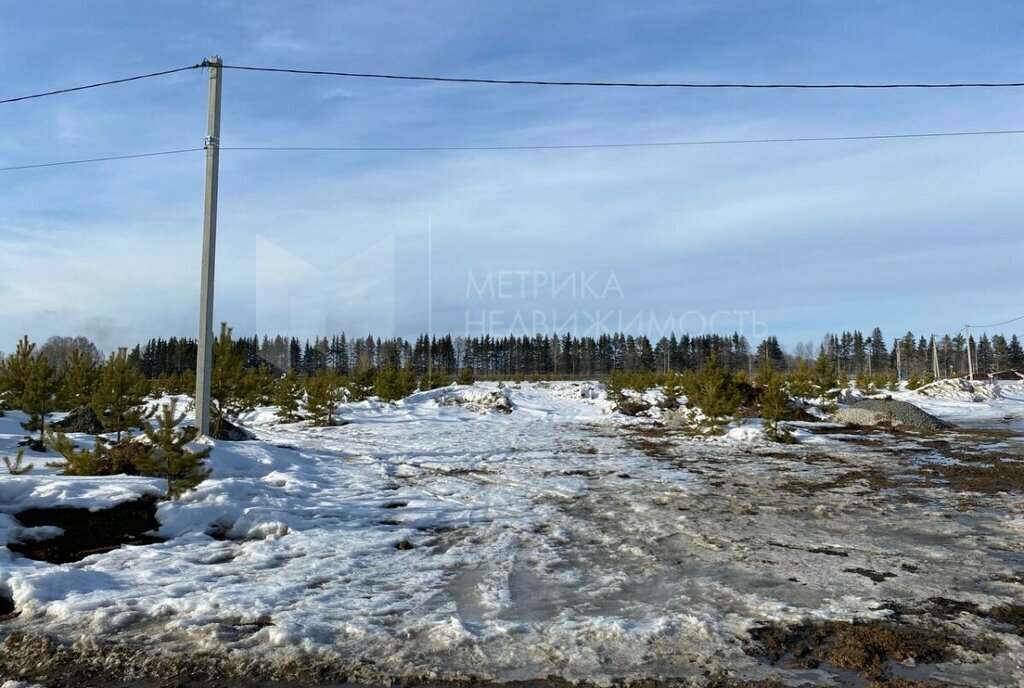 земля г Тюмень снт Незабудка ул Садовая фото 3