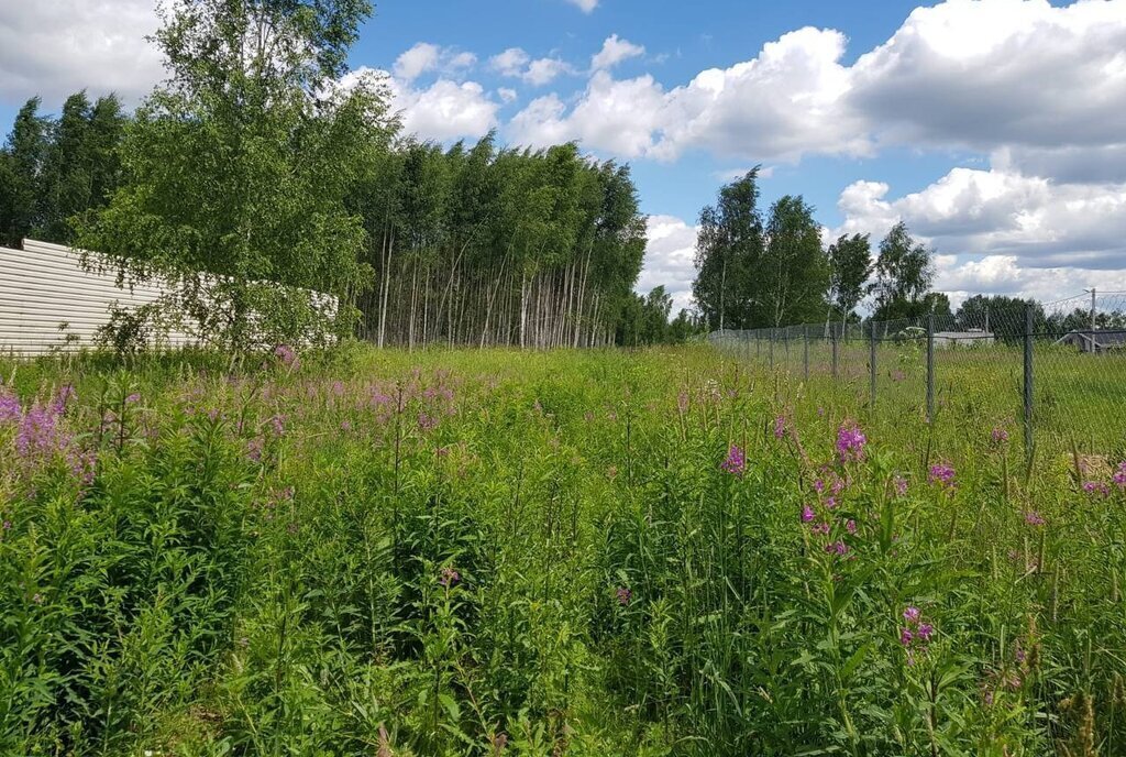 земля городской округ Дмитровский д Елизаветино фото 12