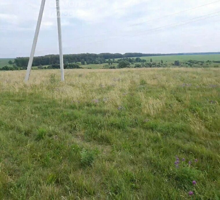 земля р-н Илишевский д Новокуктово Карабашевский сельсовет фото 2