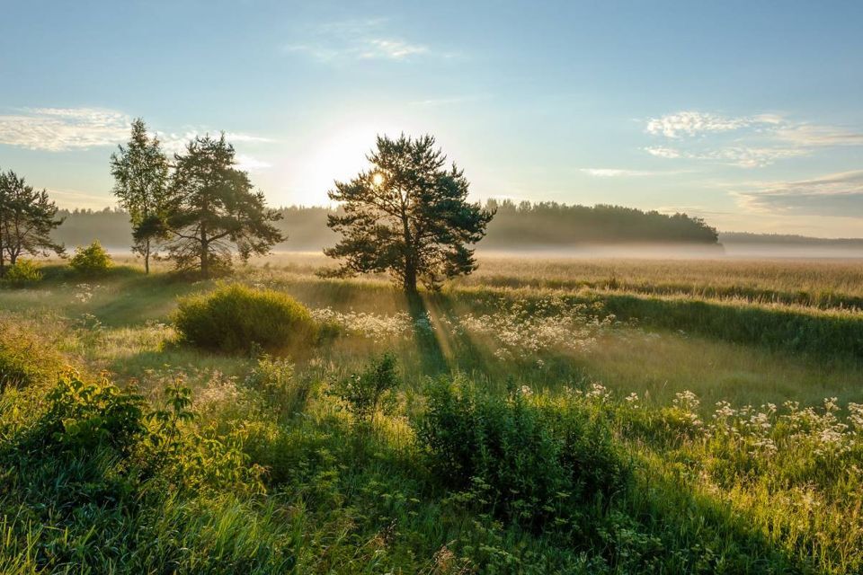 земля городской округ Серпухов деревня Гавшино фото 6