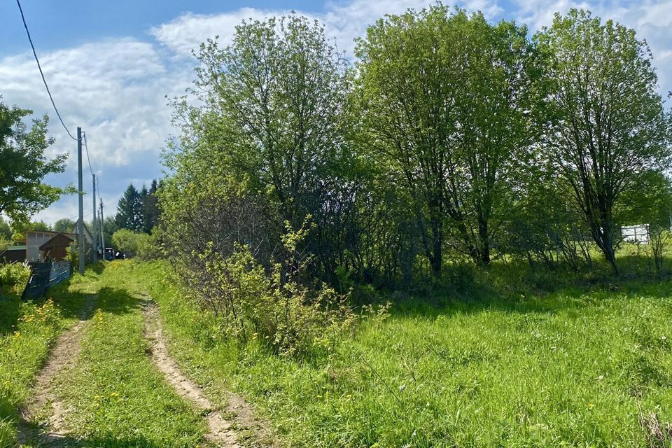 земля городской округ Сергиево-Посадский село Бужаниново фото 8