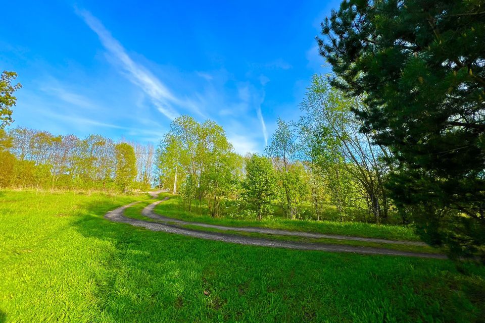 земля городской округ Кашира деревня Клубня фото 7