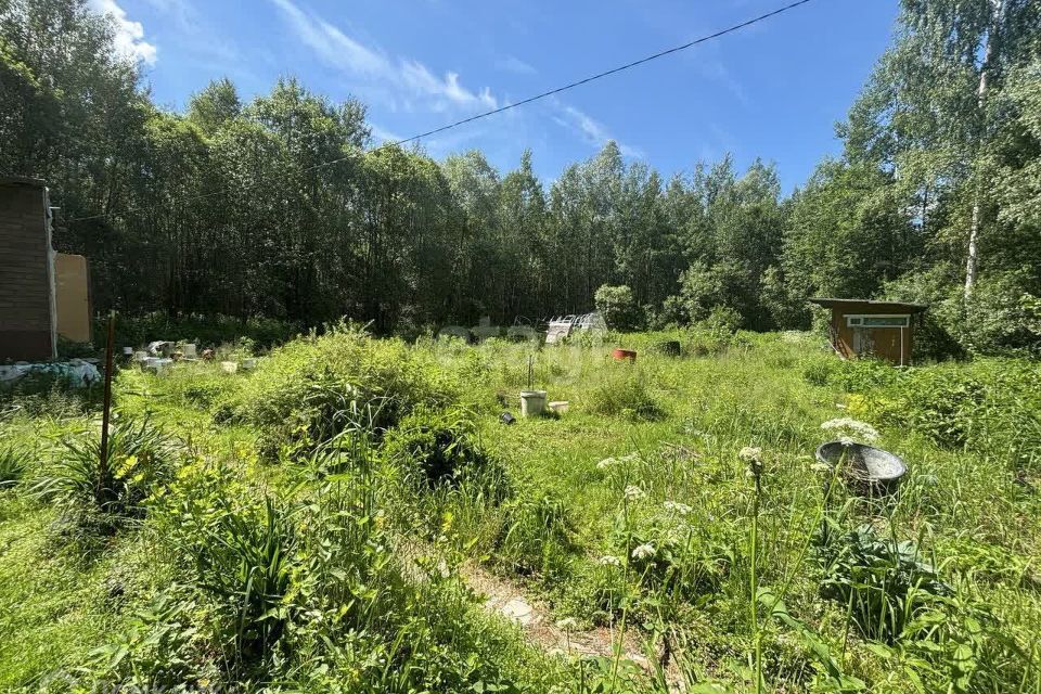 земля городской округ Талдомский садовое товарищество Кулон фото 6