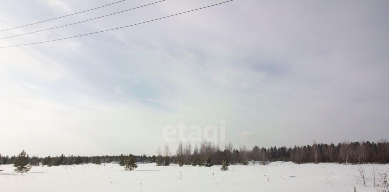 земля р-н Пригородный с Николо-Павловское фото 3